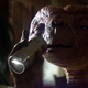 Illustration for article titled How Product Placement Took Over Science Fiction, From E.T. To Star Trek